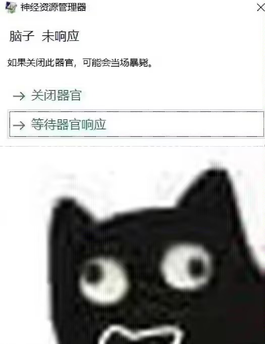 黑猫脑子未响应.jpg