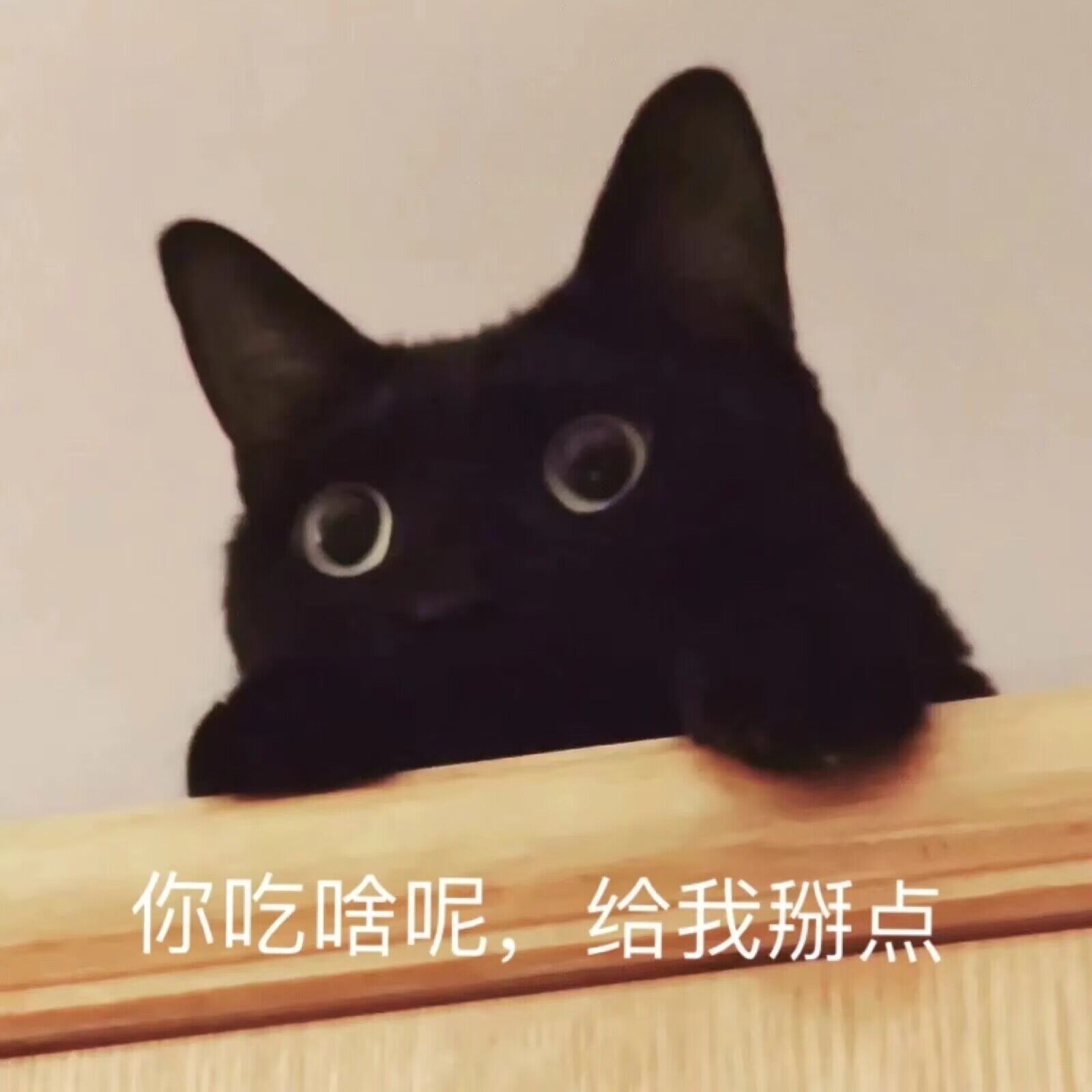 黑猫meme你吃啥呢,给我掰点.jpg